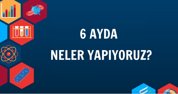 6 ayda ingilizce, 6 ayda ingilizce öğreten kurs