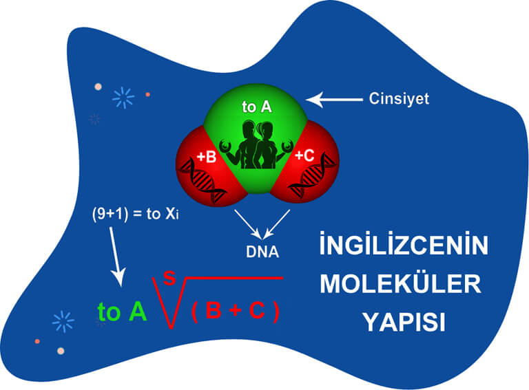 İngilizcenin yapısal içeriğine ve mastarın nasıl kullanılacağına dair şekil verilmiştir. İngilizcenin yapısal içeriğine ve mastarın nasıl kullanılacağına dair şekil verilmiştir.