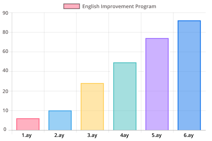 Profesyonel İngilizce Eğitimi - İş dünyasına yönelik profesyonel İngilizce eğitim programları. Yetişkinler için yoğun ve hızlandırılmış İngilizce.