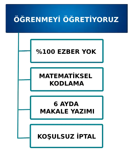 erhan sarıoğlu ile 6 ayda ingilizce öğrenin